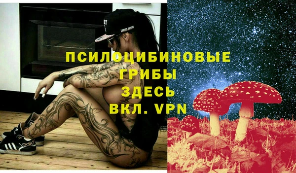 амфетамин Заводоуковск