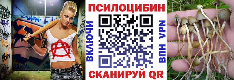 Псилоцибиновые грибы Psilocybe  Купить закладки  Дубна 